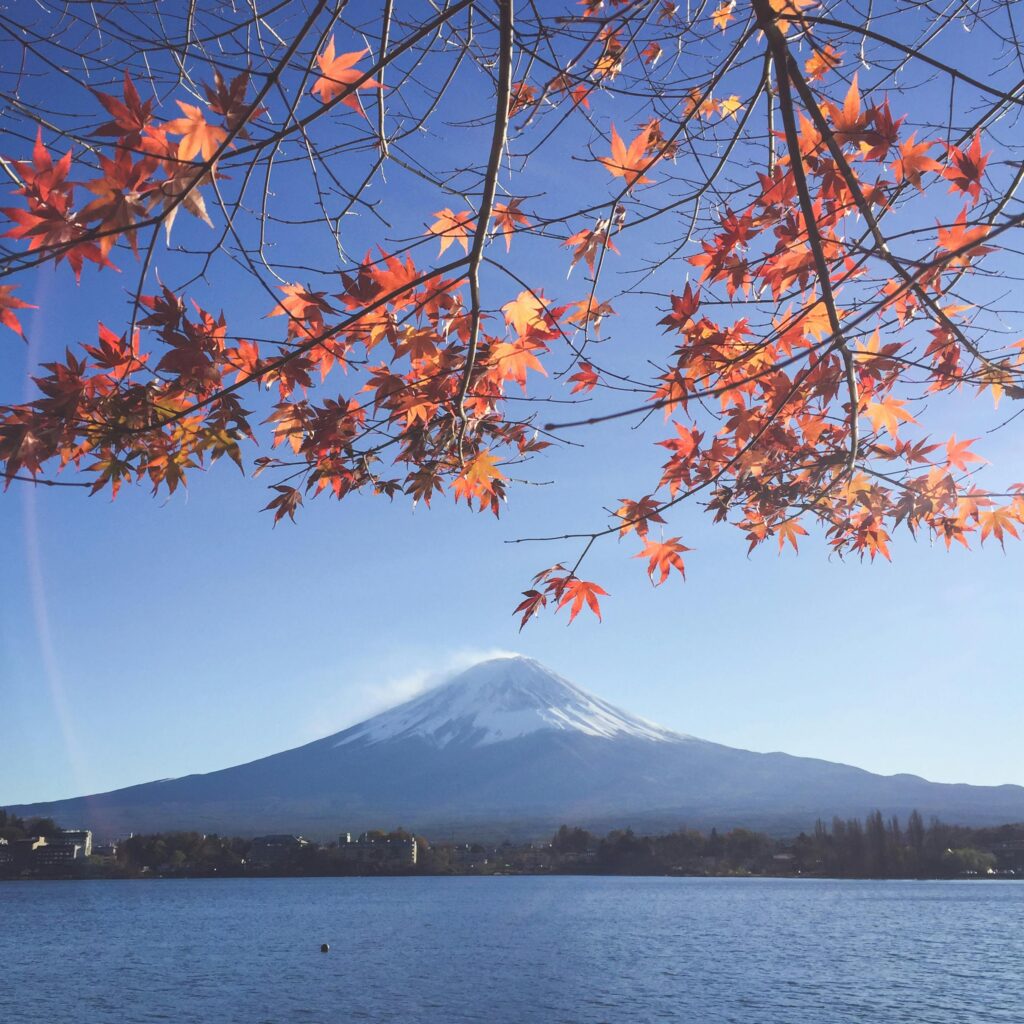 Monte Fuji visto da sotto un albero con foglie autunnali